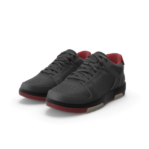 Black and red Shoe