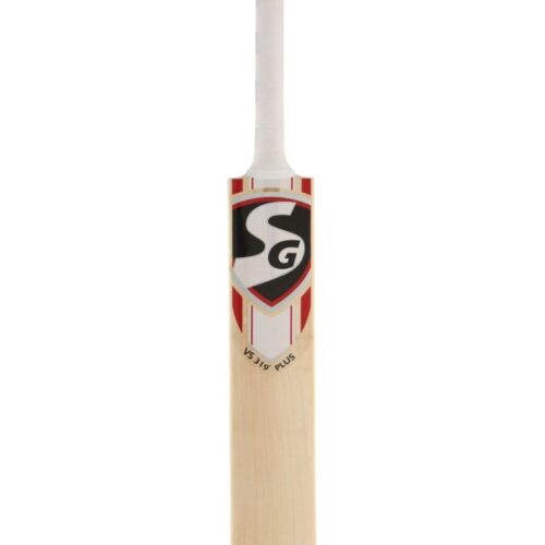 SG Cricket Bat 2