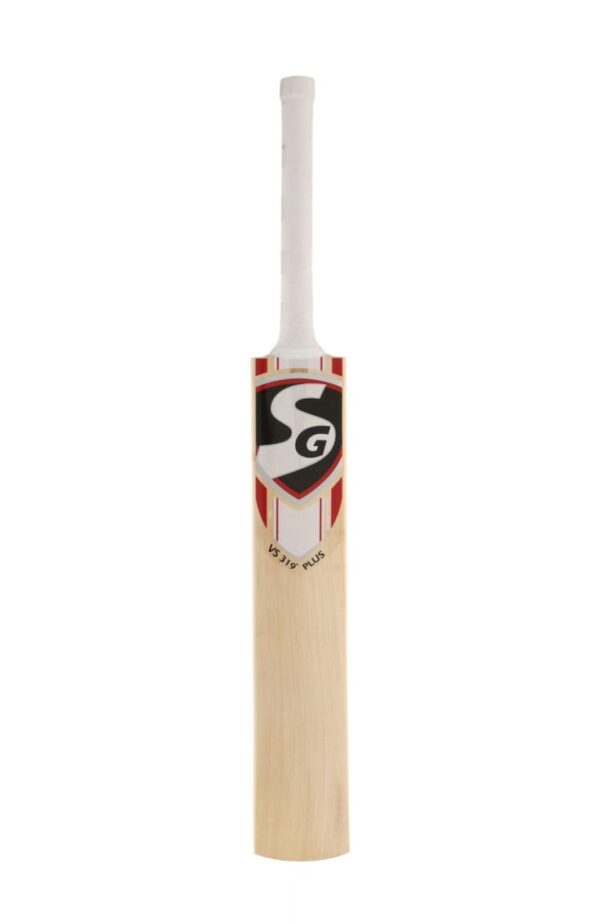 SG Cricket Bat 2