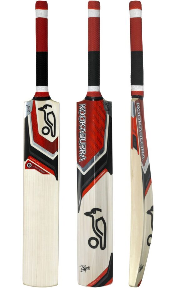 Kookaburra bat 5